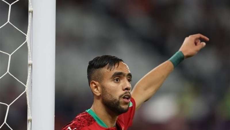 محمد الشيبي
