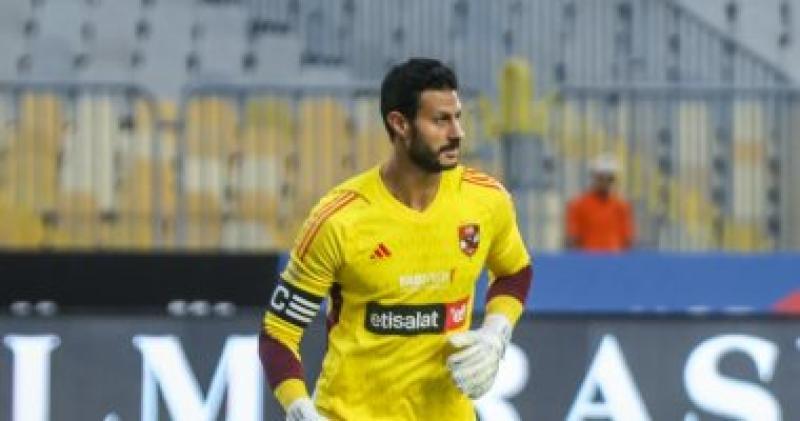 محمد الشناوي
