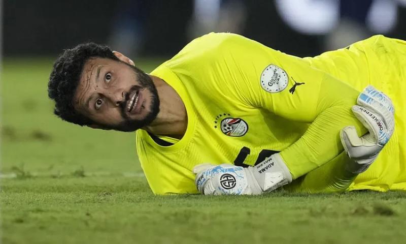 محمد الشناوي